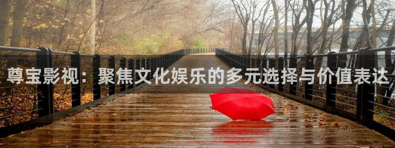 中國電影理論：尊寶影視：聚焦文化娛樂的多元選擇與價值表達